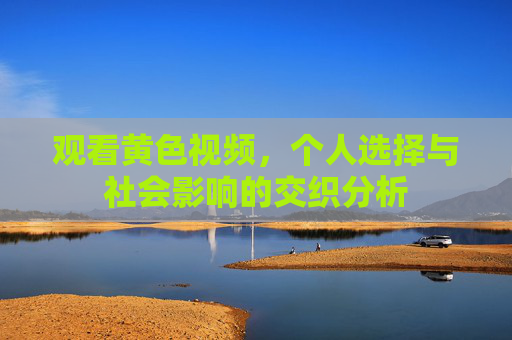观看黄色视频，个人选择与社会影响的交织分析