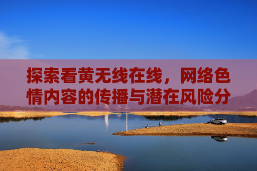 探索看黄无线在线，网络色情内容的传播与潜在风险分析