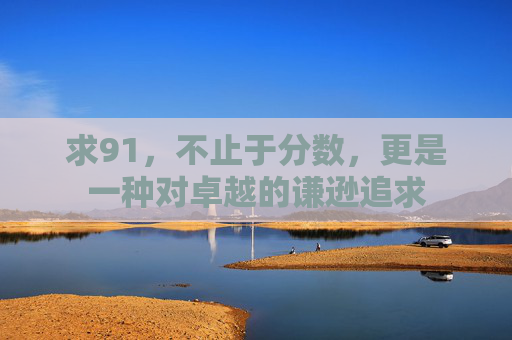 求91，不止于分数，更是一种对卓越的谦逊追求