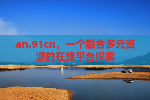 an.91cn，一个融合多元资源的在线平台探索