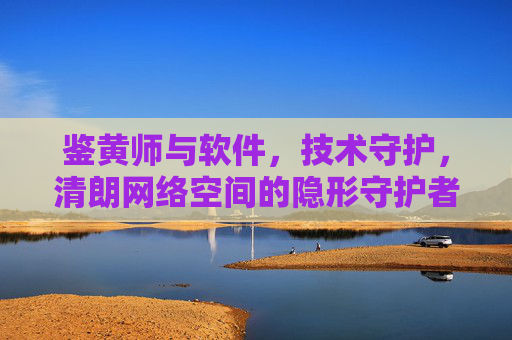 鉴黄师与软件，技术守护，清朗网络空间的隐形守护者