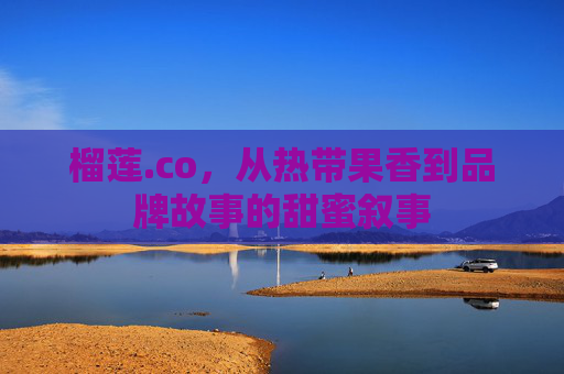 榴莲.co，从热带果香到品牌故事的甜蜜叙事