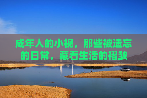 成年人的小视，那些被遗忘的日常，藏着生活的褶皱