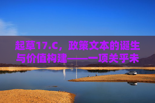 起草17.C，政策文本的诞生与价值构建——一项关乎未来发展的战略性工作