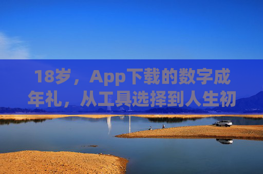 18岁，App下载的数字成年礼，从工具选择到人生初选的转折