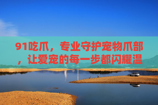 91吃爪，专业守护宠物爪部，让爱宠的每一步都闪耀温馨细节