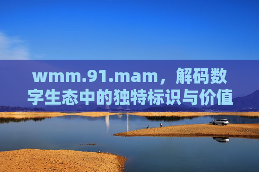 wmm.91.mam，解码数字生态中的独特标识与价值