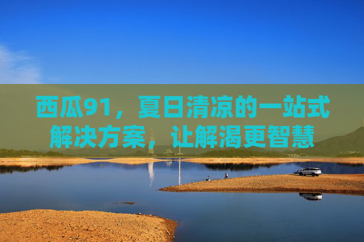 西瓜91，夏日清凉的一站式解决方案，让解渴更智慧