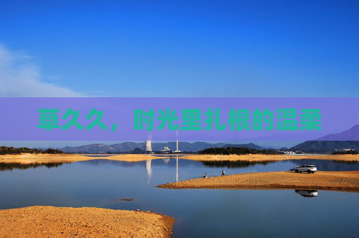 草久久，时光里扎根的温柔