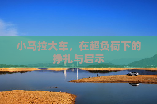 小马拉大车，在超负荷下的挣扎与启示
