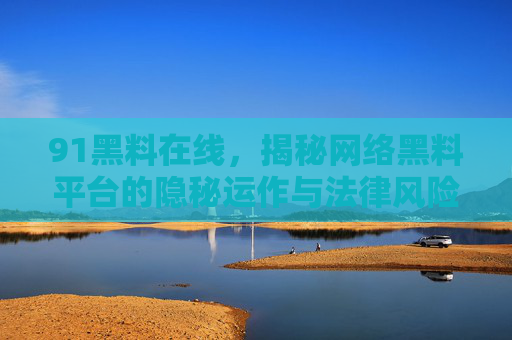 91黑料在线，揭秘网络黑料平台的隐秘运作与法律风险警示