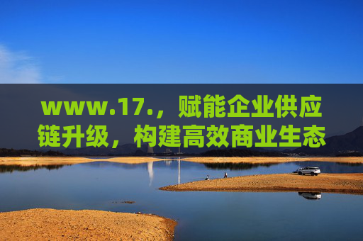 www.17.，赋能企业供应链升级，构建高效商业生态