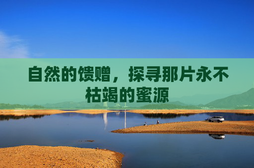 自然的馈赠，探寻那片永不枯竭的蜜源