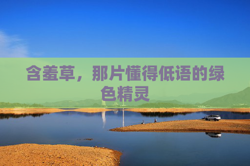 含羞草，那片懂得低语的绿色精灵