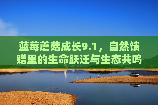 蓝莓蘑菇成长9.1，自然馈赠里的生命跃迁与生态共鸣