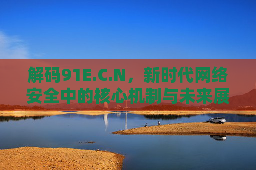 解码91E.C.N，新时代网络安全中的核心机制与未来展望