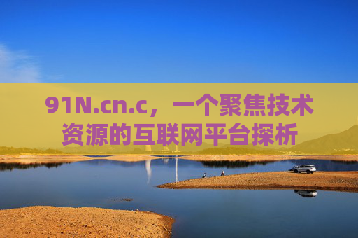91N.cn.c，一个聚焦技术资源的互联网平台探析