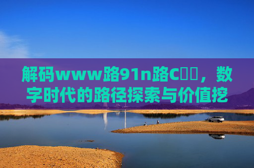 解码www路91n路C銆噈，数字时代的路径探索与价值挖掘
