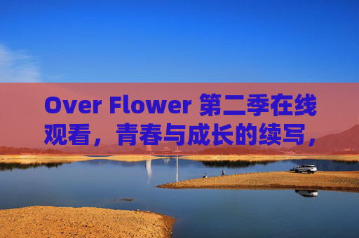Over Flower 第二季在线观看，青春与成长的续写，细腻情感与生活温度的再体验