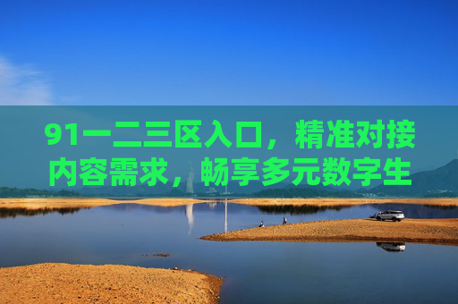 91一二三区入口，精准对接内容需求，畅享多元数字生活