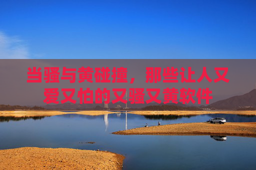 当骚与黄碰撞，那些让人又爱又怕的又骚又黄软件