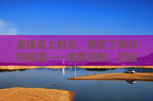 桌球桌上的光，照亮了未知的相遇——免费观看，那些被桌球串起的温暖瞬间