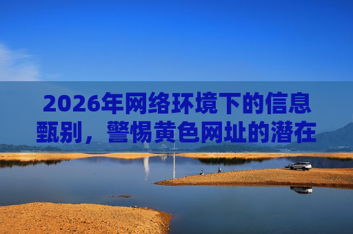 2026年网络环境下的信息甄别，警惕黄色网址的潜在风险与防范策略