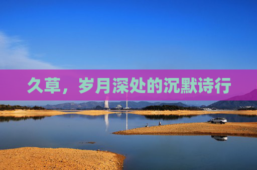久草，岁月深处的沉默诗行
