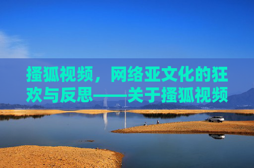 搔狐视频，网络亚文化的狂欢与反思——关于搔狐视频的传播现象与社会思考