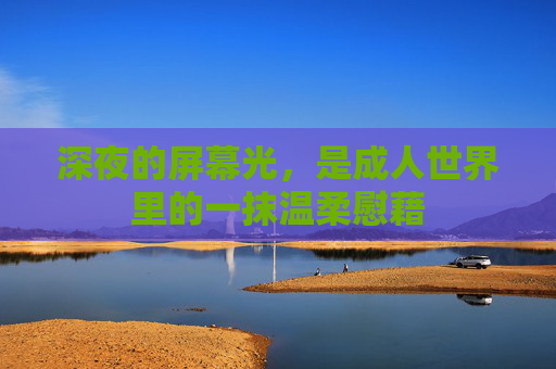 深夜的屏幕光，是成人世界里的一抹温柔慰藉