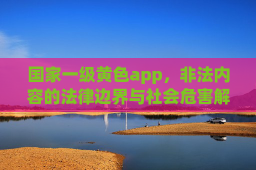 国家一级黄色app，非法内容的法律边界与社会危害解析