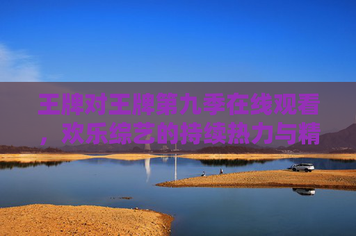 王牌对王牌第九季在线观看，欢乐综艺的持续热力与精彩回顾