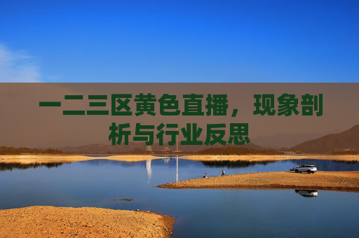 一二三区黄色直播，现象剖析与行业反思