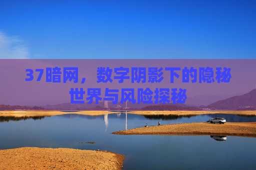 37暗网，数字阴影下的隐秘世界与风险探秘