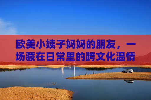 欧美小姨子妈妈的朋友，一场藏在日常里的跨文化温情