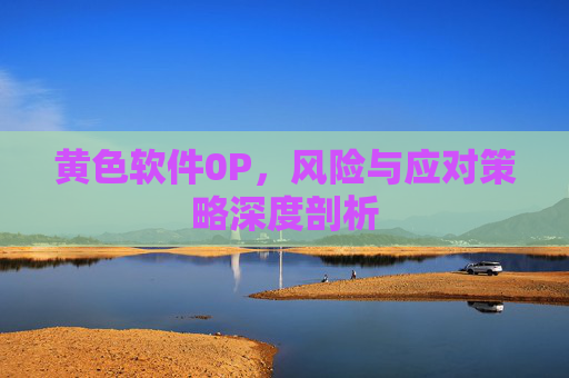 黄色软件0P，风险与应对策略深度剖析