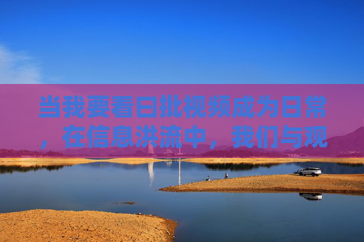 当我要看曰批视频成为日常，在信息洪流中，我们与观点的快闪共舞