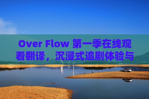 Over Flow 第一季在线观看翻译，沉浸式追剧体验与语言障碍的巧妙化解