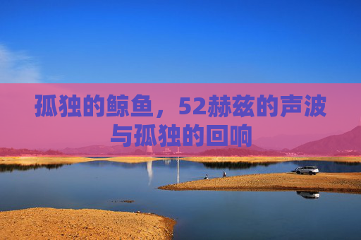 孤独的鲸鱼，52赫兹的声波与孤独的回响