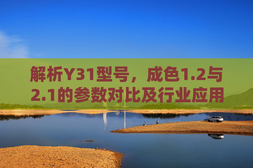解析Y31型号，成色1.2与2.1的参数对比及行业应用分析