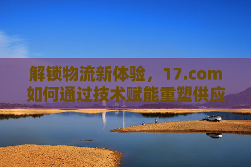 解锁物流新体验，17.com如何通过技术赋能重塑供应链效率与电商履约