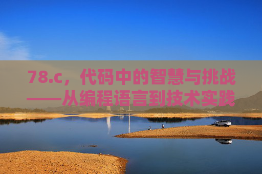 78.c，代码中的智慧与挑战——从编程语言到技术实践的深度探索