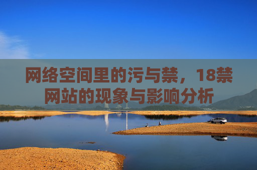 网络空间里的污与禁，18禁网站的现象与影响分析