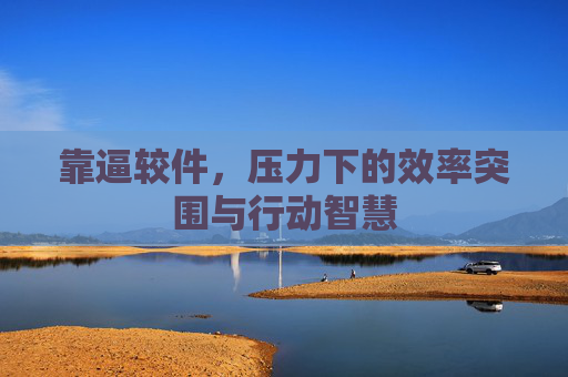 靠逼较件，压力下的效率突围与行动智慧