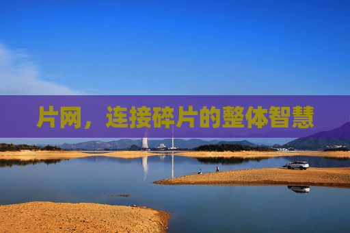 片网，连接碎片的整体智慧