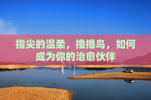 指尖的温柔，撸撸鸟，如何成为你的治愈伙伴