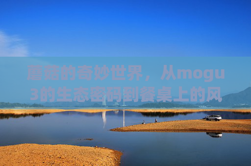 蘑菇的奇妙世界，从mogu3的生态密码到餐桌上的风味艺术