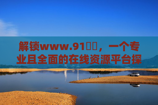 解锁www.91馃崒，一个专业且全面的在线资源平台探索