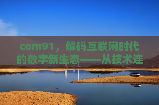 com91，解码互联网时代的数字新生态——从技术连接到生活赋能的探索之旅