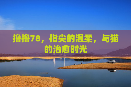 撸撸78，指尖的温柔，与猫的治愈时光